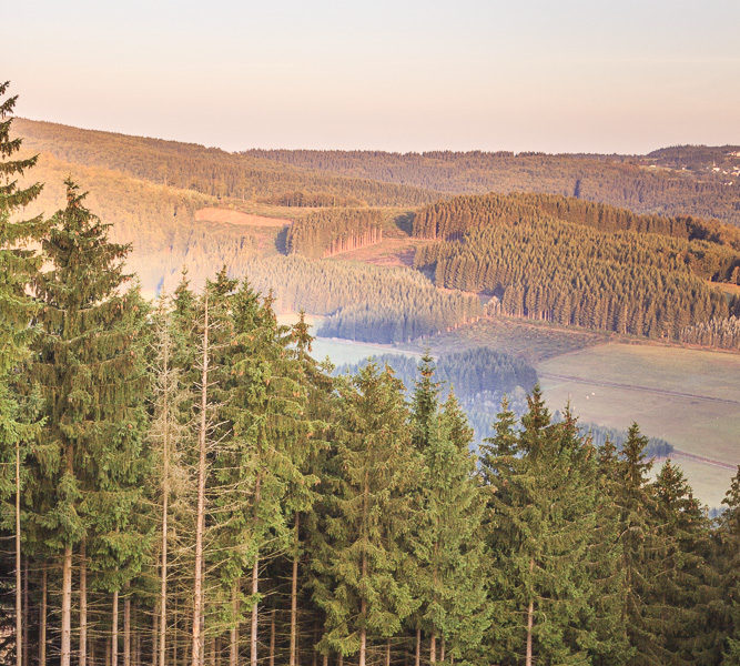 Hochkantpanorama über Winetrberg Bei Sonnenaufgang